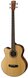 Basses acoustiques gaucher 4-cordes