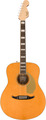 Fender Palomino Vintage (aged natural)