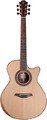 Furch Red Deluxe Gc-LC / Top: Alpine Spruce, Back & Sides: Cocobolo (LR Baggs Stagepro Anthem pickup)