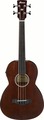 Ibanez AVNB1FE (brown violin semi-gloss)