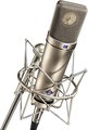 Neumann U87 Ai Studio Set (nickel) Condenser Microphones