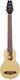 Guitares acoustiques Traveler