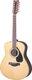 Guitares westerns 12 Cordes