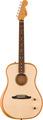Highway Dreadnought (natural)