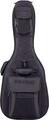 Starline Hollow Body E-Guitar (Black)