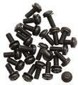 Rack Screws 25 pcs 1SKB-RS25