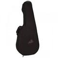 Tric Case Folk Concert Hall Deluxe