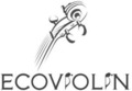 Ecoviolin