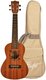 Concert Ukuleles