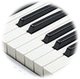 Piezas de repuesto para piano y teclado