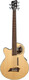 5-String Acoustic Left-Handed Basses