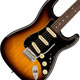 Guitares & Basses