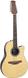 12-String Acoustic Guitars with Pickup