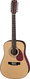 12-String Acoustic Guitars