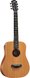 Left-handed Shortscale Acoustic Guitars