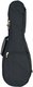 Bags für Bariton-Ukulele