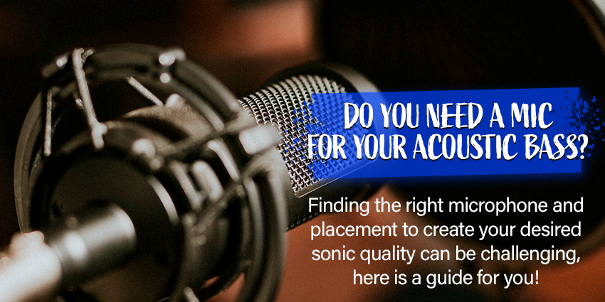 Looking for a Microphone</b> for your acoustic bass?