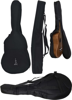APC Instruments SLUTG A Bag for Lute Guitar (5mm foam)