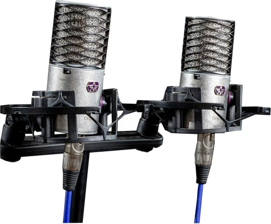 Origin Stereo Pair Bundle