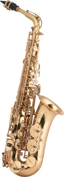 AS-501 / Student Alto Saxophone (gold lacquered finish)