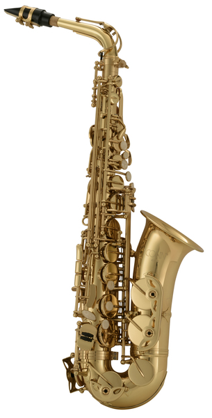 AS-650 / Student Alto Saxophone (gold lacquered finish)
