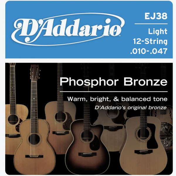 D'Addario EJ38 12-String