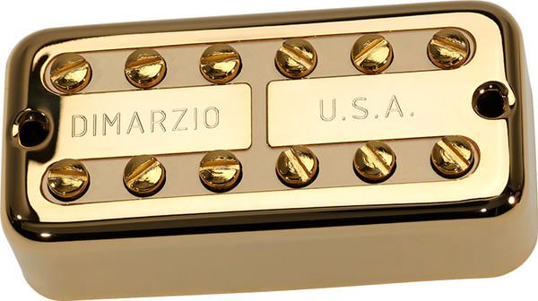DP291GCR New'Tron Neck (gold cover with cream)