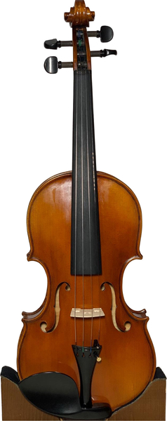 Ecoviolin Amati / One Piece Back (red brown)