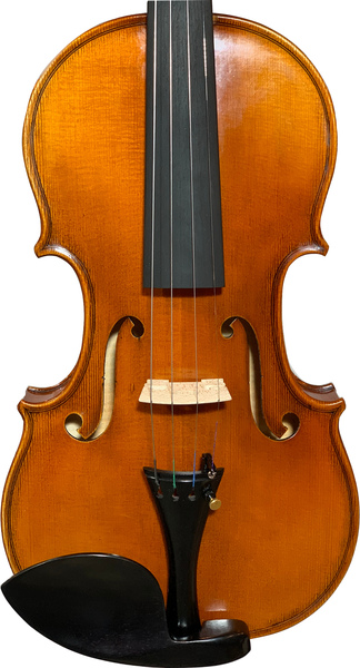 Ecoviolin Strad Set / Two Piece Back (incl. case, bow, strings, shoulder-rest, rosin)