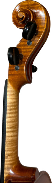 Ecoviolin Strad Set / Two Piece Back (incl. case, bow, strings, shoulder-rest, rosin)
