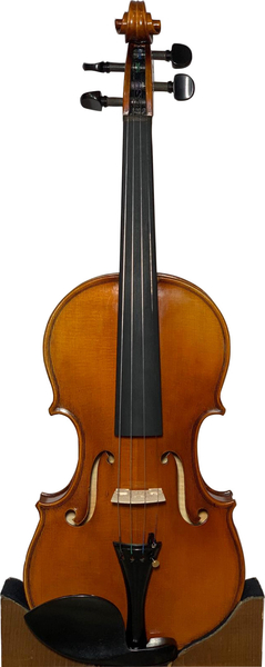 Ecoviolin Strad / Two Piece Back (red brown)