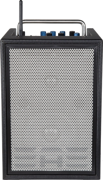 Elite Acoustics A2-5 / Portable Acoustic Amp (carbon fiber black)