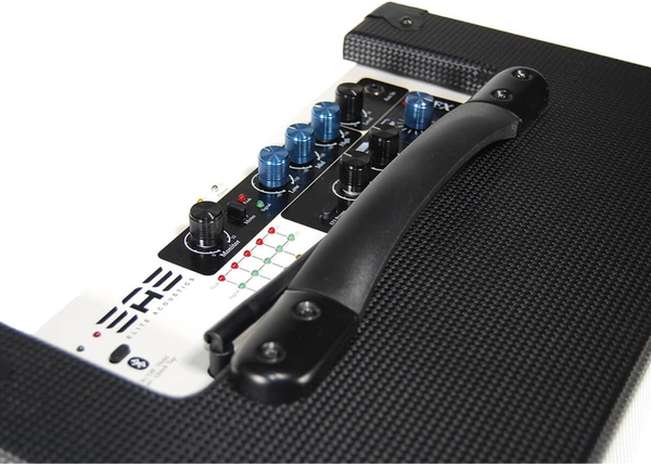 Elite Acoustics A6-55 / Acoustic Amp (carbon fiber black)