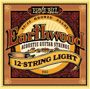 Ernie Ball 2010 Earthwood 12 String Light