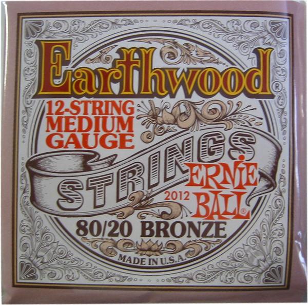 Ernie Ball 2012 Earthwood 12 String Medium