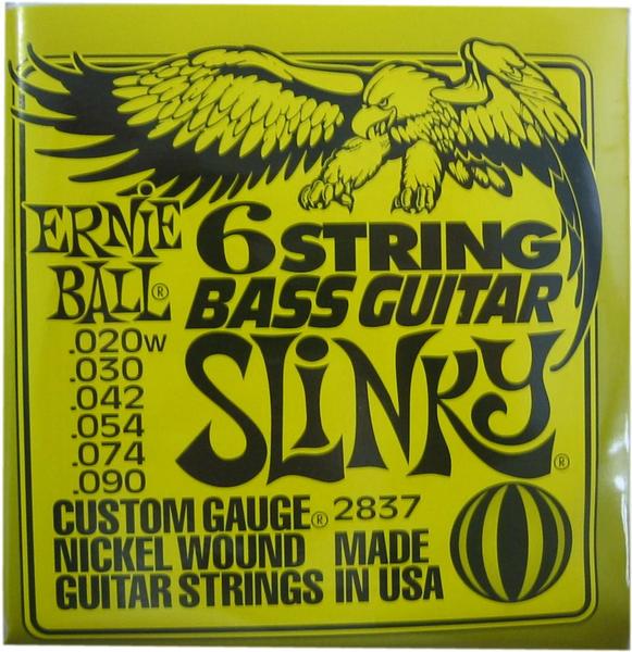 Ernie Ball 2837 6-String Slinky Short