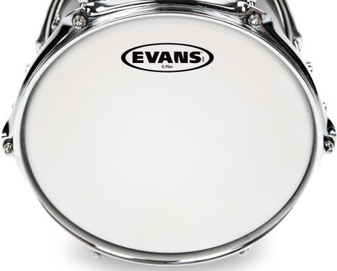 G12 Coated Tom Drumhead B08G12 (8")