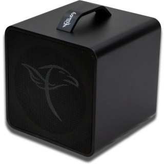 Traveller / Portable Acoustic Amp (black)