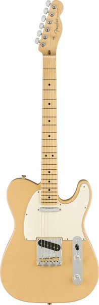 Fender American Pro Tele Light Ash Limited Edition (honey blonde)