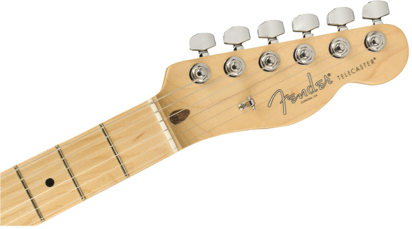 Fender American Pro Tele Light Ash Limited Edition (honey blonde)