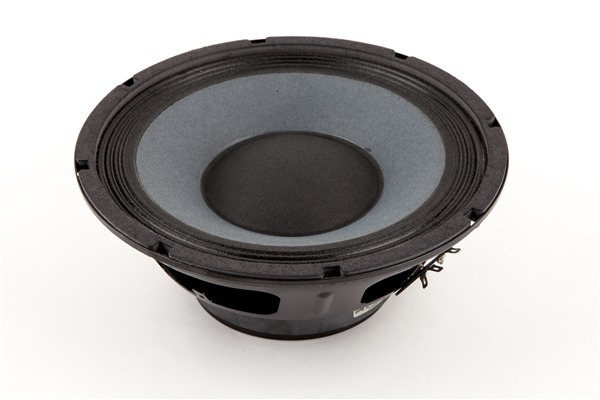 Fender Bass Speaker - 10' - 8 ohm