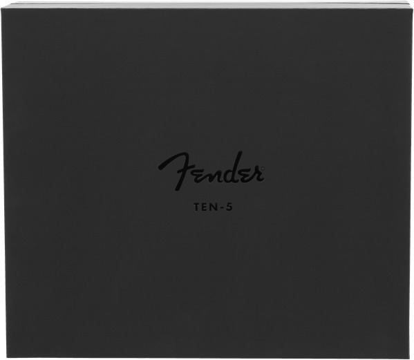 Fender IEM Ten 5 (silverburst)