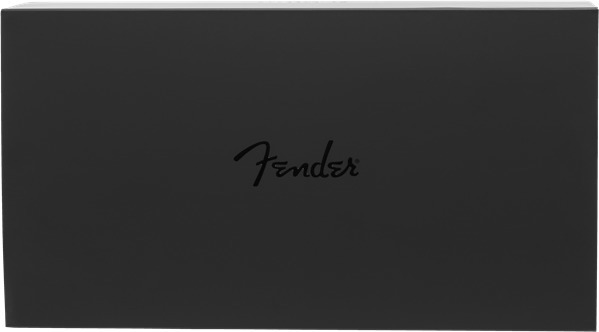 Fender IEM Thirteen 6 (flat black)