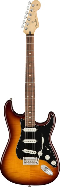 ギター Player Stratocaster Plus Top PF TBS Fender フェンダー Player Stratocaster Plus Top（ Tobacco