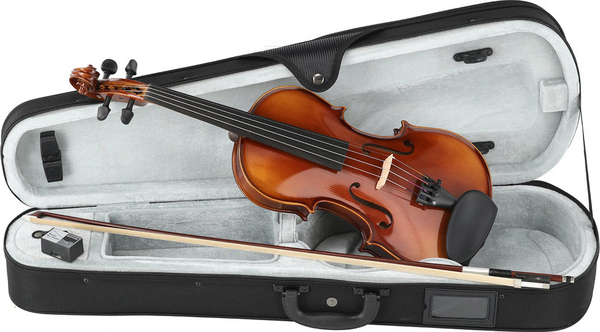 100th Anniversary Violin (1/2)