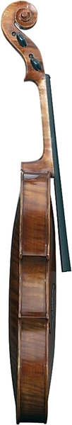 Gewa Maestro 6 Antique Viola (15.5', 39,5 cm)
