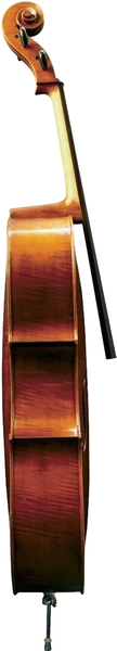 Gewa Maestro 6 Cello (3/4)