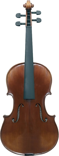 Maestro 6 Viola (16" / 40.8 cm, set-up)