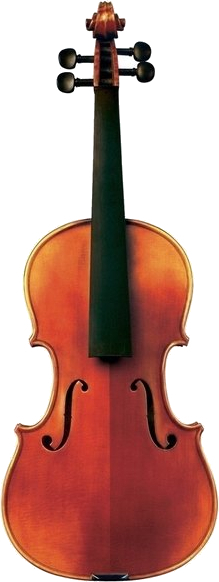 Gewa Violin Maestro 6 (1/2)