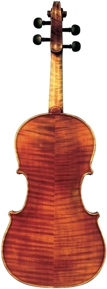 Gewa Violin Maestro 6 (1/4)